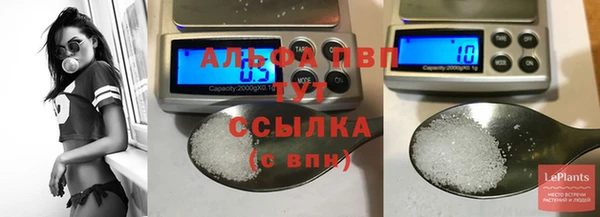 индика Белоозёрский
