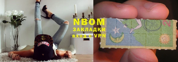 индика Белоозёрский