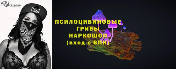 прущая мука Белокуриха