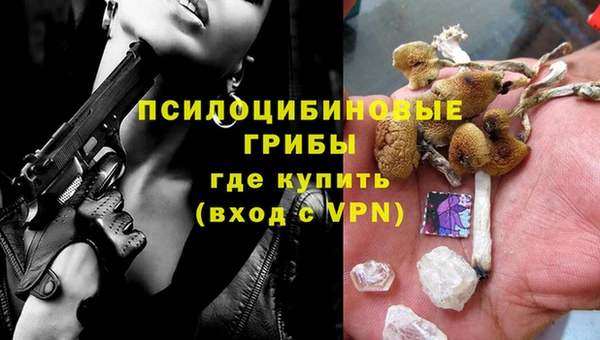 таблы Анжеро-Судженск