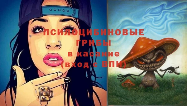 прущая мука Белокуриха