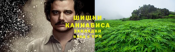 индика Белоозёрский