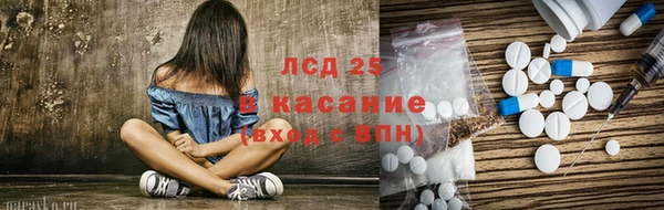 индика Белоозёрский