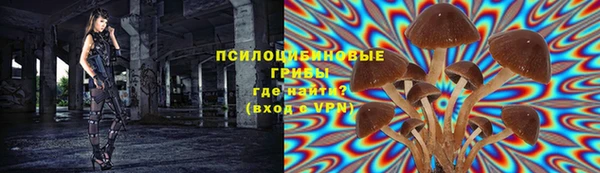 индика Белоозёрский