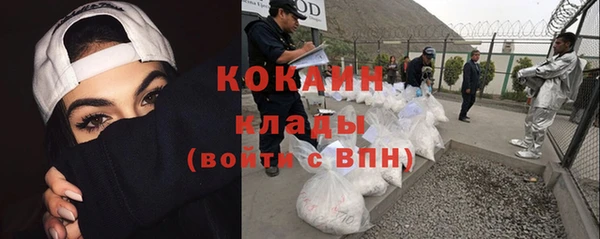 индика Белоозёрский