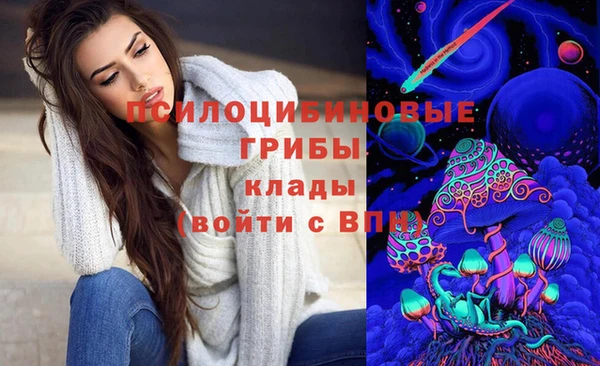 мяу мяу мука Беломорск
