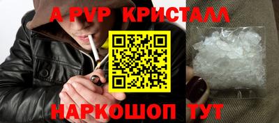 СК Кузнецк