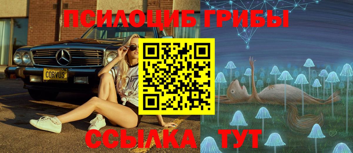 Псилоцибиновые грибы MAGIC MUSHROOMS Дальнегорск